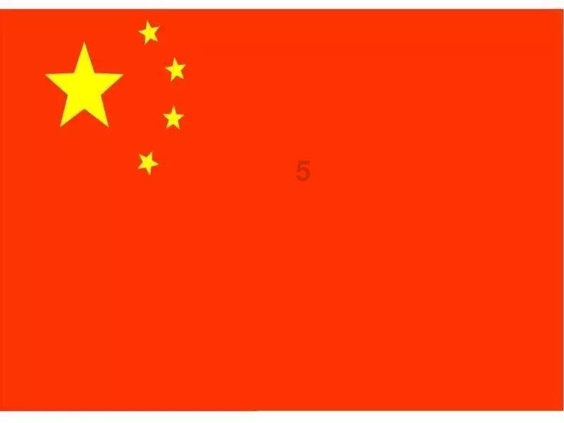 度假的时尚女孩
